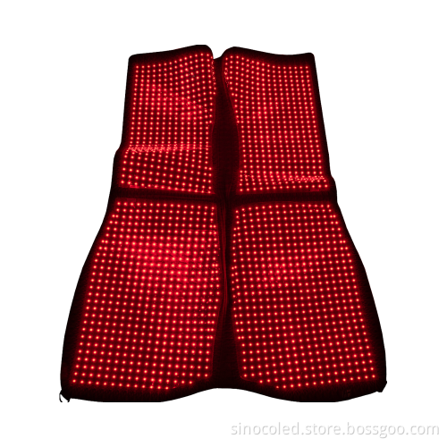 Red Light Therapy Instruments for Equine and Pet Care